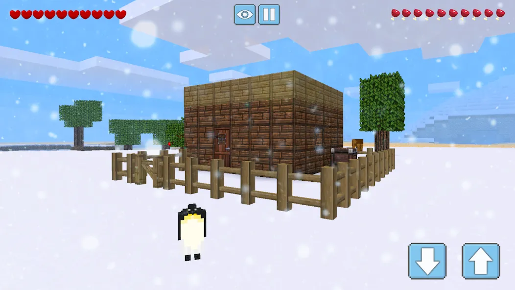 Winter Craft: Exploration & Su – Легендарный геймер дает обзор