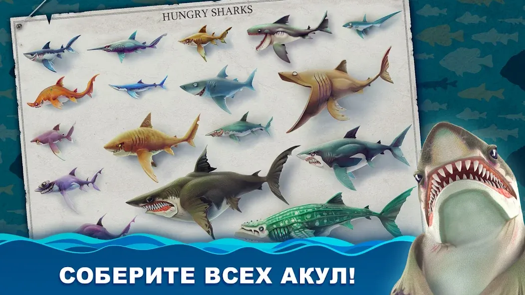 Скачать Hungry Shark World [Взлом/МОД Много денег] на Андроид